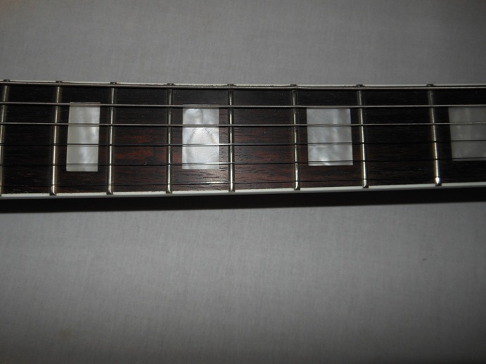 Surfliner Deluxe Picture 5